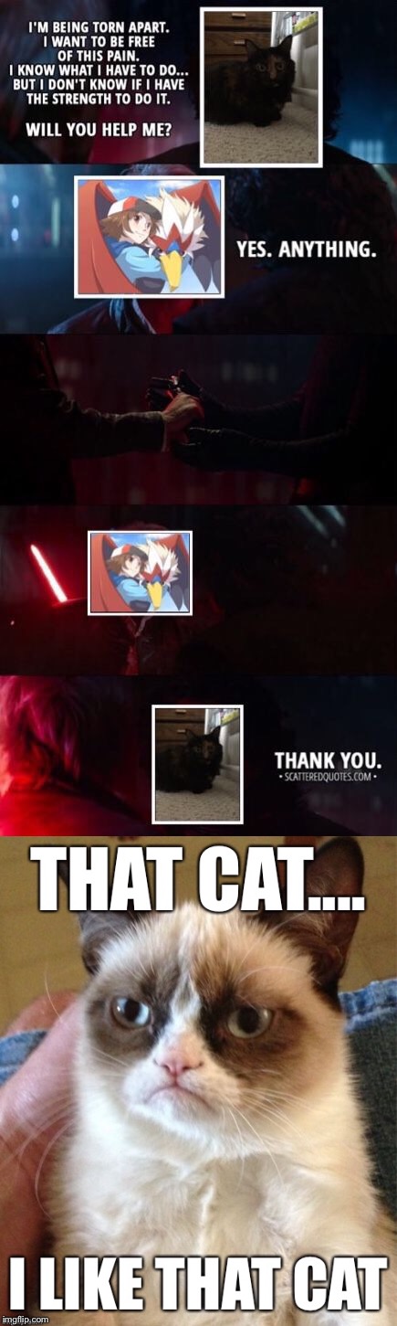 The relationship with my cat | image tagged in cat,grumpy cat,star wars,kylo ren,betrayal,han solo new star wars movie | made w/ Imgflip meme maker