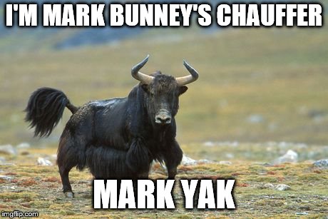 Angry Yak | I'M MARK BUNNEY'S CHAUFFER; MARK YAK | image tagged in angry yak | made w/ Imgflip meme maker