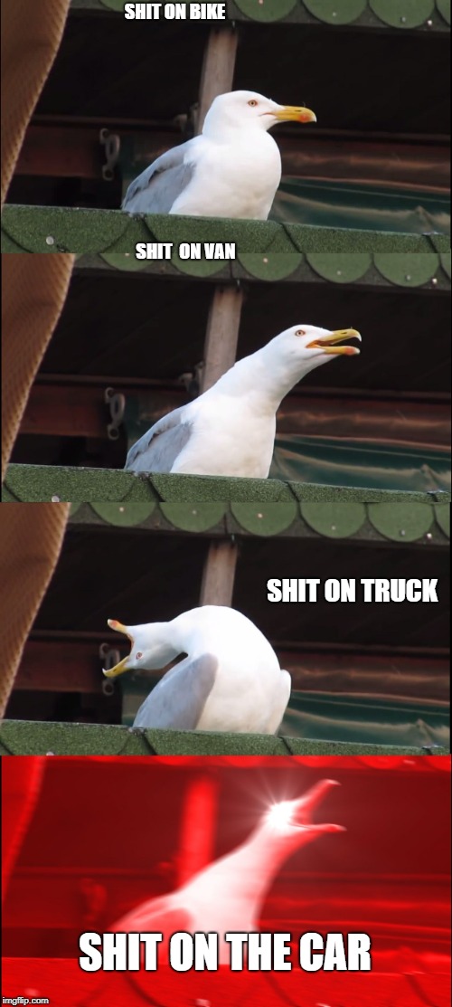 Inhaling Seagull | SHIT ON BIKE; SHIT  ON VAN; SHIT ON TRUCK; SHIT ON THE CAR | image tagged in memes,inhaling seagull | made w/ Imgflip meme maker