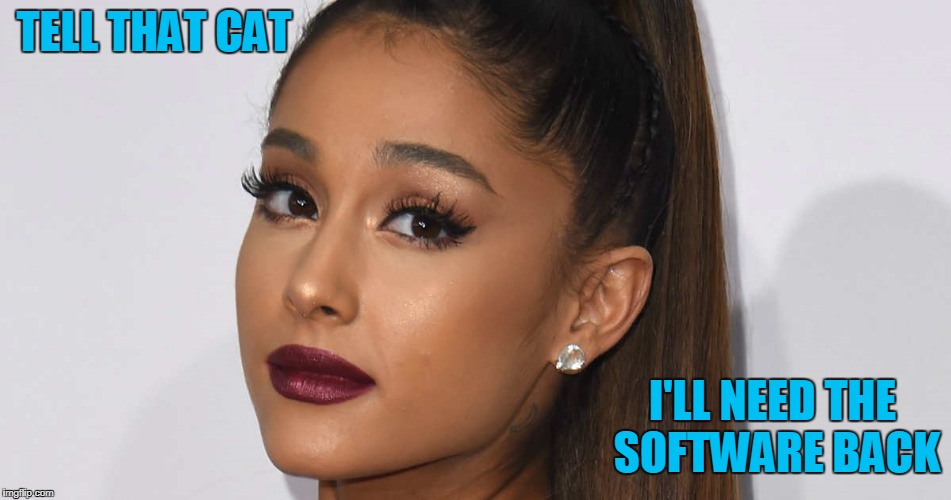 TELL THAT CAT I'LL NEED THE SOFTWARE BACK | made w/ Imgflip meme maker