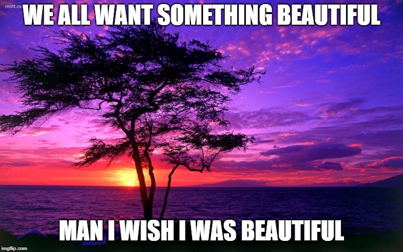 Sunrise purple beauty | WE ALL WANT SOMETHING BEAUTIFUL; MAN I WISH I WAS BEAUTIFUL | image tagged in sunrise purple beauty | made w/ Imgflip meme maker