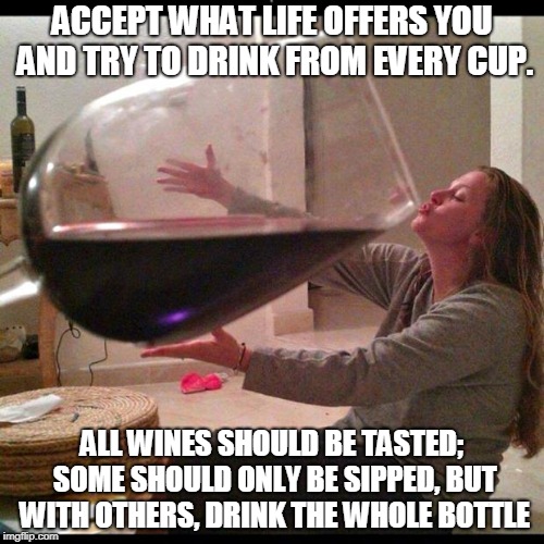 Wine Drinker | ACCEPT WHAT LIFE OFFERS YOU AND TRY TO DRINK FROM EVERY CUP. ALL WINES SHOULD BE TASTED; SOME SHOULD ONLY BE SIPPED, BUT WITH OTHERS, DRINK THE WHOLE BOTTLE | image tagged in wine drinker | made w/ Imgflip meme maker