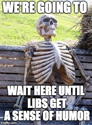 Waiting Skeleton | WE'RE GOING TO; WAIT HERE UNTIL LIBS GET A SENSE OF HUMOR | image tagged in memes,waiting skeleton | made w/ Imgflip meme maker