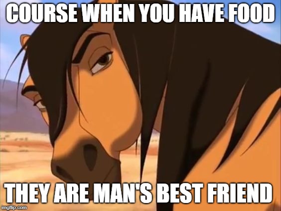 Spirit What | COURSE WHEN YOU HAVE FOOD THEY ARE MAN'S BEST FRIEND | image tagged in spirit what | made w/ Imgflip meme maker