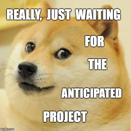 Doge | REALLY,  JUST  WAITING; FOR; THE; ANTICIPATED; PROJECT | image tagged in memes,doge | made w/ Imgflip meme maker