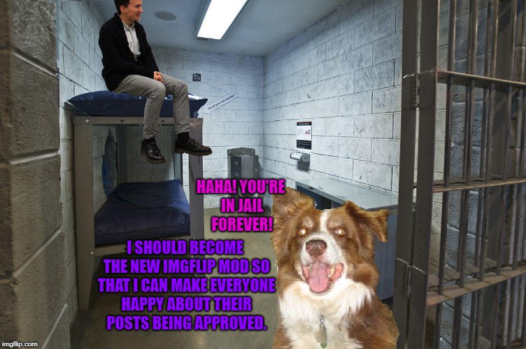 Imgflip mods should go to jail. | HAHA! YOU'RE IN JAIL FOREVER! I SHOULD BECOME THE NEW IMGFLIP MOD SO THAT I CAN MAKE EVERYONE HAPPY ABOUT THEIR POSTS BEING APPROVED. | image tagged in jail cell,chili the border collie,dogs,border collie,imgflip mods,imgflip trolls | made w/ Imgflip meme maker