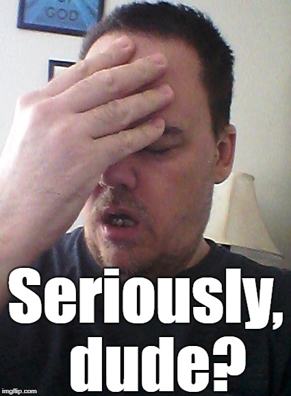 face palm | Seriously,  dude? | image tagged in face palm | made w/ Imgflip meme maker