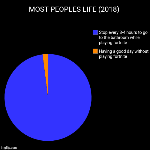 MOST PEOPLES LIFE (2018) | Having a good day without playing fortnite, Stop every 3-4 hours to go to the bathroom while playing fortnite | image tagged in funny,pie charts | made w/ Imgflip chart maker