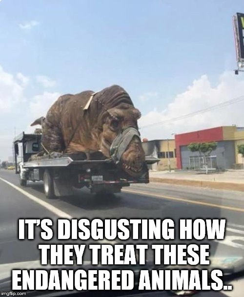  IT’S DISGUSTING HOW THEY TREAT THESE ENDANGERED ANIMALS.. | image tagged in funny | made w/ Imgflip meme maker