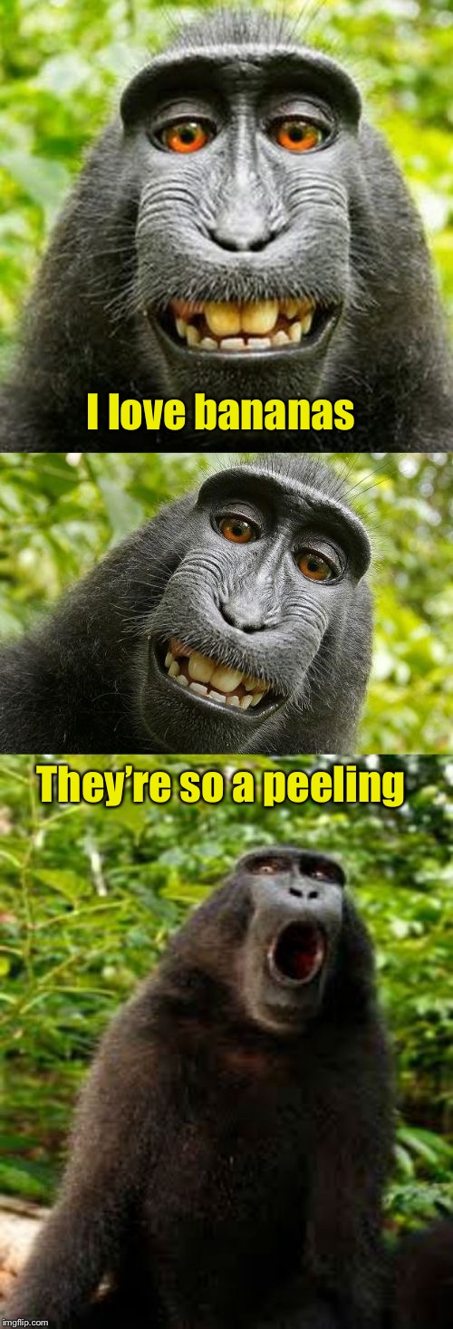 bad pun monkey | I love bananas; They’re so a peeling | image tagged in bad pun monkey | made w/ Imgflip meme maker