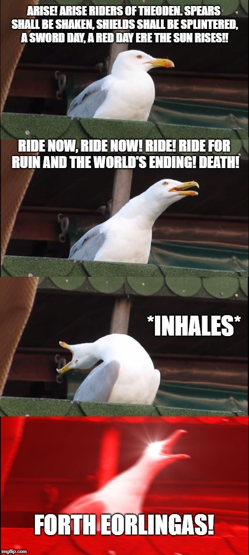 Inhaling Seagull Meme | ARISE! ARISE RIDERS OF THEODEN. SPEARS SHALL BE SHAKEN, SHIELDS SHALL BE SPLINTERED, A SWORD DAY, A RED DAY ERE THE SUN RISES!! RIDE NOW, RIDE NOW! RIDE! RIDE FOR RUIN AND THE WORLD'S ENDING! DEATH! *INHALES*; FORTH EORLINGAS! | image tagged in memes,inhaling seagull | made w/ Imgflip meme maker