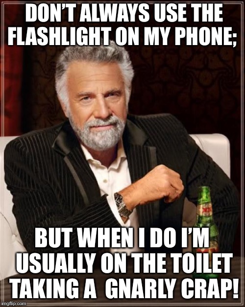 The Most Interesting Man In The World Meme | DON’T ALWAYS USE THE FLASHLIGHT ON MY PHONE;; BUT WHEN I DO I’M USUALLY ON THE TOILET TAKING A 
GNARLY CRAP! | image tagged in memes,the most interesting man in the world | made w/ Imgflip meme maker