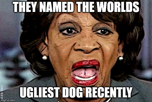 Ugly Dog | THEY NAMED THE WORLDS; UGLIEST DOG RECENTLY | image tagged in maxine waters,ugly,dog | made w/ Imgflip meme maker