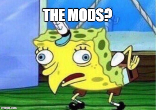 Mocking Spongebob Meme | THE MODS? | image tagged in memes,mocking spongebob | made w/ Imgflip meme maker