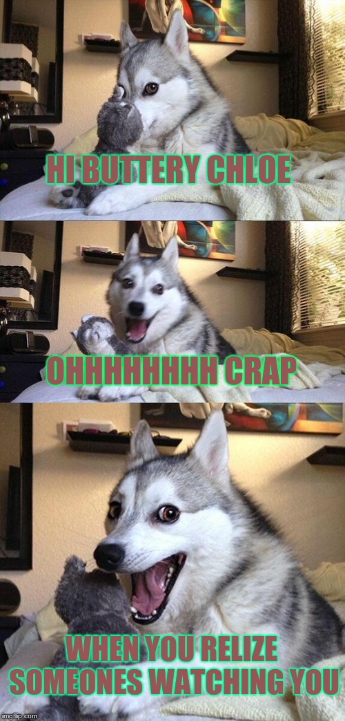 Bad Pun Dog | HI BUTTERY CHLOE; OHHHHHHHH CRAP; WHEN YOU RELIZE SOMEONES WATCHING YOU | image tagged in memes,bad pun dog | made w/ Imgflip meme maker
