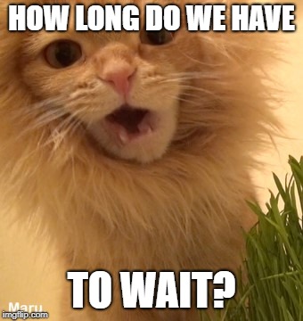 HOW LONG DO WE HAVE TO WAIT? | made w/ Imgflip meme maker