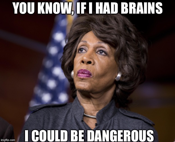 Maxine Waters  | YOU KNOW, IF I HAD BRAINS; I COULD BE DANGEROUS | image tagged in no brain | made w/ Imgflip meme maker