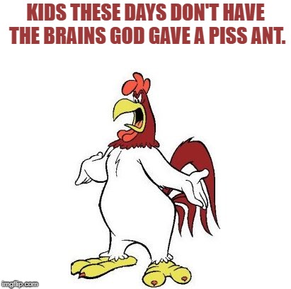 longhorn-leghorn | KIDS THESE DAYS DON'T HAVE THE BRAINS GOD GAVE A PISS ANT. | image tagged in longhorn-leghorn | made w/ Imgflip meme maker