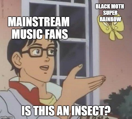 BLACK MOTH SUPER RAINBOW; MAINSTREAM MUSIC FANS; IS THIS AN INSECT? | image tagged in is this a pigeon,music | made w/ Imgflip meme maker