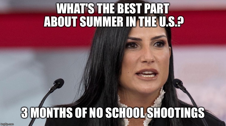 What's the best part about summer in the U.S.? | WHAT'S THE BEST PART ABOUT SUMMER IN THE U.S.? 3 MONTHS OF NO SCHOOL SHOOTINGS | image tagged in nra,summer | made w/ Imgflip meme maker