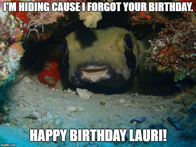 I'M HIDING CAUSE I FORGOT YOUR BIRTHDAY. HAPPY BIRTHDAY LAURI! | image tagged in puffer fish | made w/ Imgflip meme maker