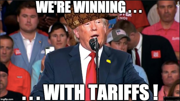 WE'RE WINNING . . . . . . WITH TARIFFS ! | image tagged in memes | made w/ Imgflip meme maker