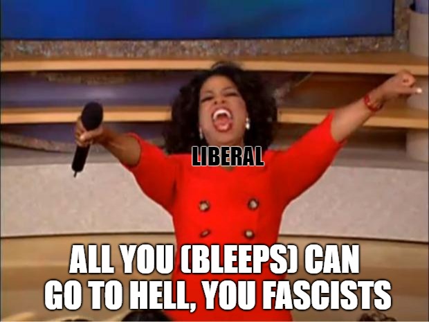 Oprah You Get A Meme | LIBERAL ALL YOU (BLEEPS) CAN GO TO HELL, YOU FASCISTS | image tagged in memes,oprah you get a | made w/ Imgflip meme maker