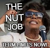 the nut job - term limits now | THE; NUT; JOB; TERM LIMITS NOW! | image tagged in maxine waters,crazy lady | made w/ Imgflip meme maker