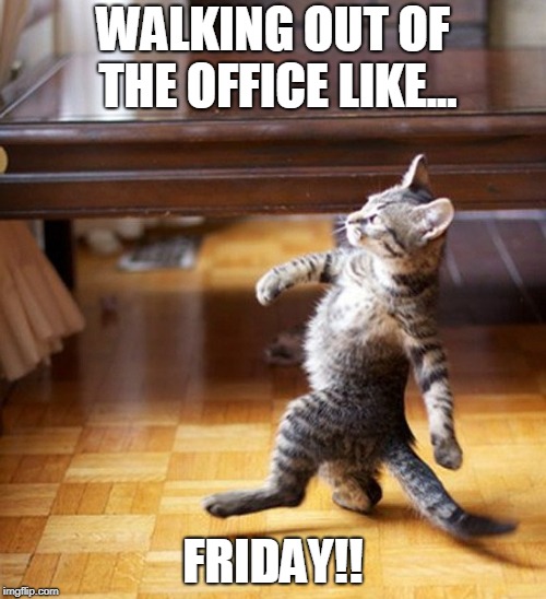 Cat Walking Like A Boss | WALKING OUT OF THE OFFICE LIKE... FRIDAY!! | image tagged in cat walking like a boss | made w/ Imgflip meme maker