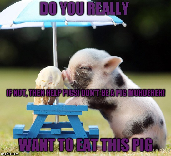 Pig Ice Cream | DO YOU REALLY; IF NOT, THEN HELP PIGS! DON'T BE A PIG MURDERER! WANT TO EAT THIS PIG | image tagged in pig ice cream | made w/ Imgflip meme maker