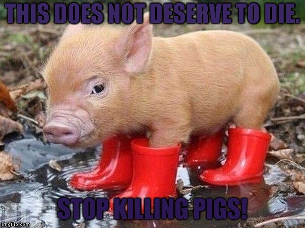 Pig In Boots | THIS DOES NOT DESERVE TO DIE. STOP KILLING PIGS! | image tagged in pig in boots | made w/ Imgflip meme maker