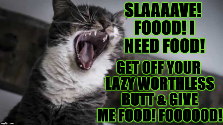 GET OFF YOUR LAZY WORTHLESS BUTT & GIVE ME FOOD! FOOOOOD! SLAAAAVE! FOOOD! I NEED FOOD! | image tagged in feed me | made w/ Imgflip meme maker