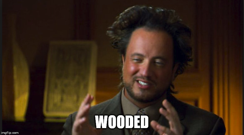 WOODED | made w/ Imgflip meme maker