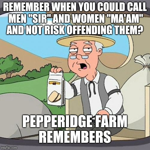 Pepperidge Farm Remembers | REMEMBER WHEN YOU COULD CALL MEN "SIR" AND WOMEN "MA'AM" AND NOT RISK OFFENDING THEM? PEPPERIDGE FARM REMEMBERS | image tagged in memes,pepperidge farm remembers | made w/ Imgflip meme maker