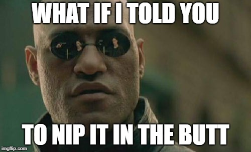 Matrix Morpheus Meme | WHAT IF I TOLD YOU; TO NIP IT IN THE BUTT | image tagged in memes,matrix morpheus | made w/ Imgflip meme maker