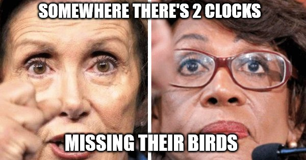 SOMEWHERE THERE'S 2 CLOCKS; MISSING THEIR BIRDS | image tagged in birds of a feather | made w/ Imgflip meme maker