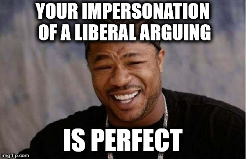Yo Dawg Heard You Meme | YOUR IMPERSONATION OF A LIBERAL ARGUING IS PERFECT | image tagged in memes,yo dawg heard you | made w/ Imgflip meme maker