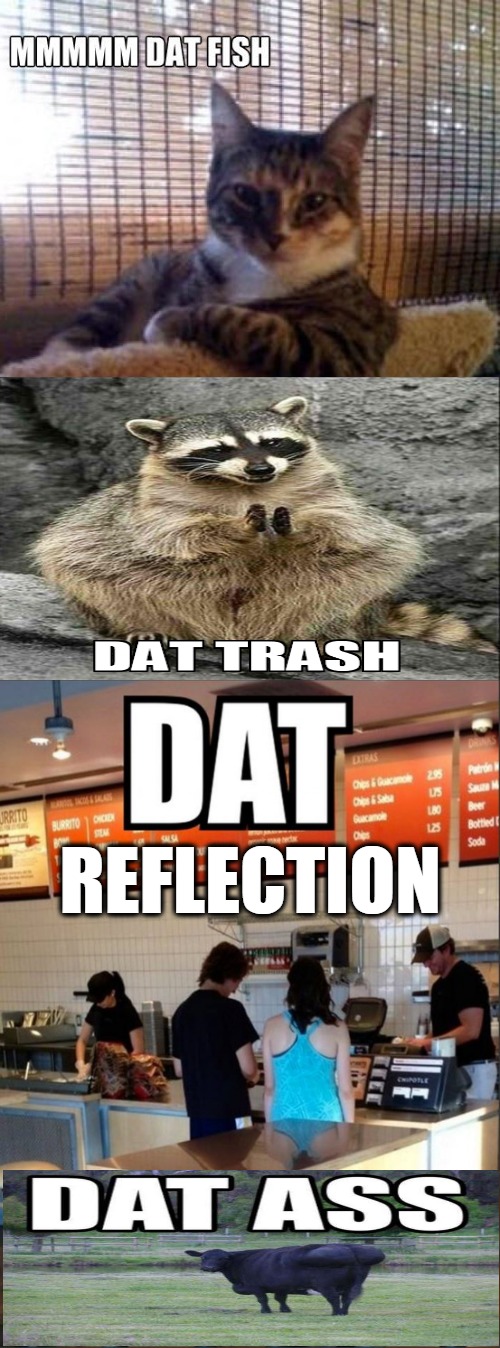 REFLECTION | image tagged in dat fish,dat trash,dat reflection,dat ass,dark humor | made w/ Imgflip meme maker
