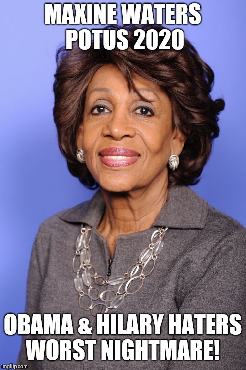 MAXINE WATERS POTUS 2020; OBAMA & HILARY HATERS WORST NIGHTMARE! | image tagged in maxine waters | made w/ Imgflip meme maker