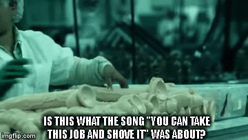 IS THIS WHAT THE SONG "YOU CAN TAKE THIS JOB AND SHOVE IT" WAS ABOUT? | image tagged in gifs | made w/ Imgflip video-to-gif maker