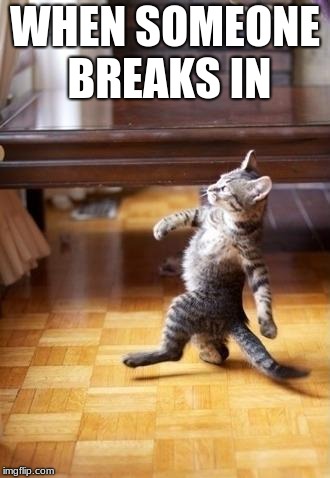 Cool Cat Stroll Meme | WHEN SOMEONE BREAKS IN | image tagged in memes,cool cat stroll | made w/ Imgflip meme maker