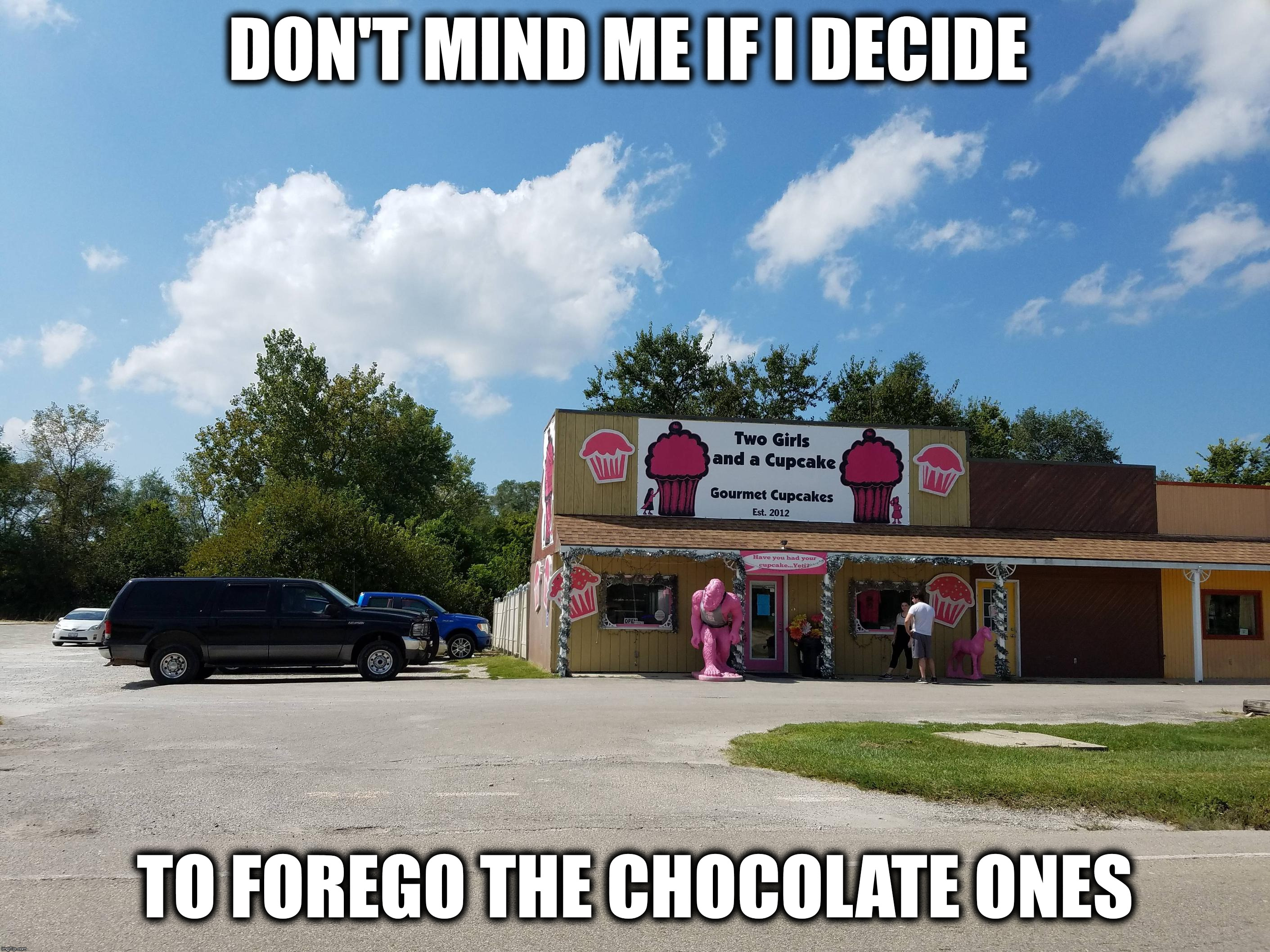 I have a sneaky feeling that it would taste like poop | DON'T MIND ME IF I DECIDE; TO FOREGO THE CHOCOLATE ONES | image tagged in two girls and a cupcake,avoid the chocolate ones | made w/ Imgflip meme maker