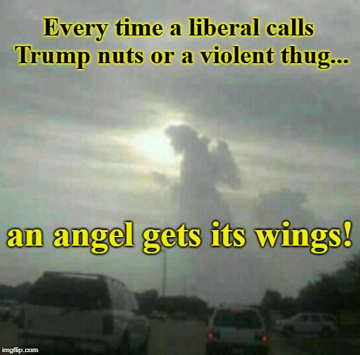 Call Trump Nuts or Thug... | Every time a liberal calls Trump nuts or a violent thug... an angel gets its wings! | image tagged in cloud angel,trump,angel gets  wings | made w/ Imgflip meme maker