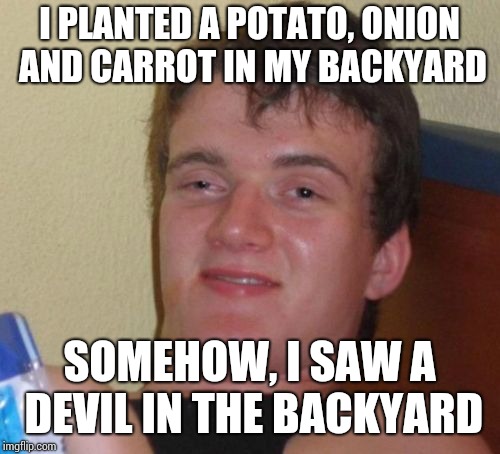 10 Guy Meme | I PLANTED A POTATO, ONION AND CARROT IN MY BACKYARD; SOMEHOW, I SAW A DEVIL IN THE BACKYARD | image tagged in memes,10 guy,cuphead,vegetable,devil | made w/ Imgflip meme maker