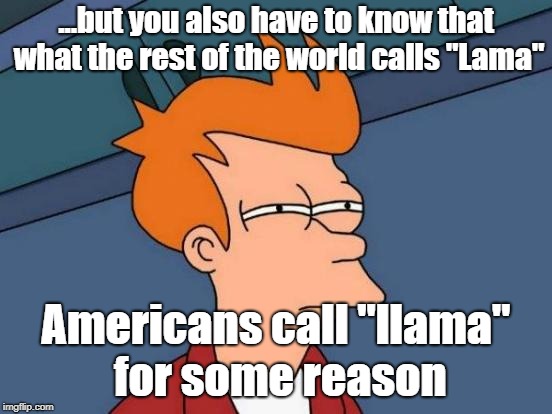 Futurama Fry Meme | ...but you also have to know that what the rest of the world calls "Lama" Americans call "llama" for some reason | image tagged in memes,futurama fry | made w/ Imgflip meme maker