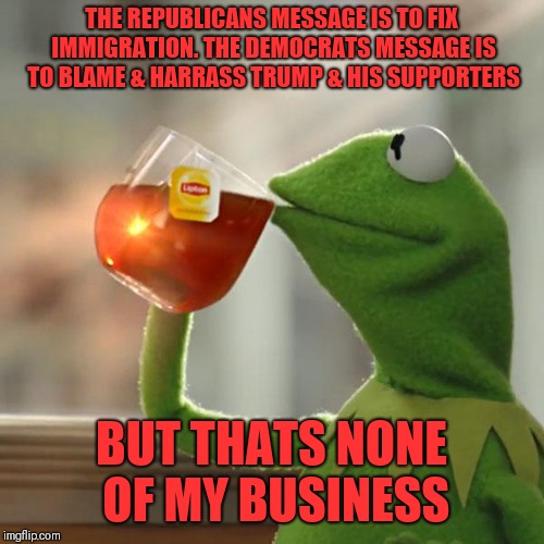 But That's None Of My Business Meme | THE REPUBLICANS MESSAGE IS TO FIX IMMIGRATION. THE DEMOCRATS MESSAGE IS TO BLAME & HARRASS TRUMP & HIS SUPPORTERS; BUT THATS NONE OF MY BUSINESS | image tagged in memes,but thats none of my business,kermit the frog | made w/ Imgflip meme maker