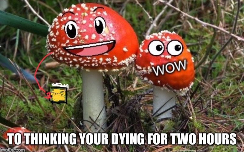 TO THINKING YOUR DYING FOR TWO HOURS | made w/ Imgflip meme maker