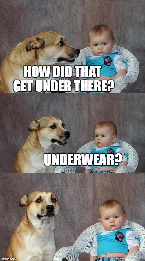 Underwear | HOW DID THAT GET UNDER THERE? UNDERWEAR? | image tagged in memes,dad joke dog,underwear | made w/ Imgflip meme maker