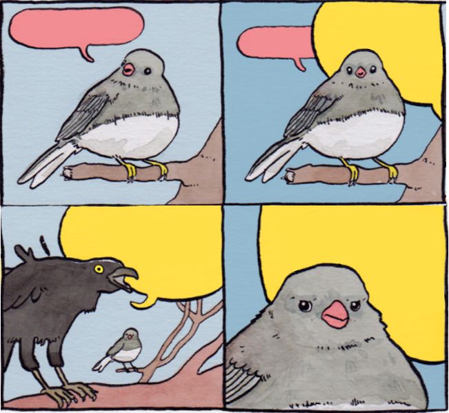 Annoyed Bird Blank Meme Template