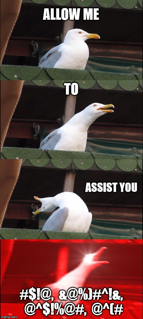 Inhaling Seagull Meme | ALLOW ME TO ASSIST YOU #$!@,  &@%)#^!&,  @^$!%@#,  @^(# | image tagged in memes,inhaling seagull | made w/ Imgflip meme maker